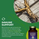 healthforce-superfoods-intestinal-moveme-6.jpg