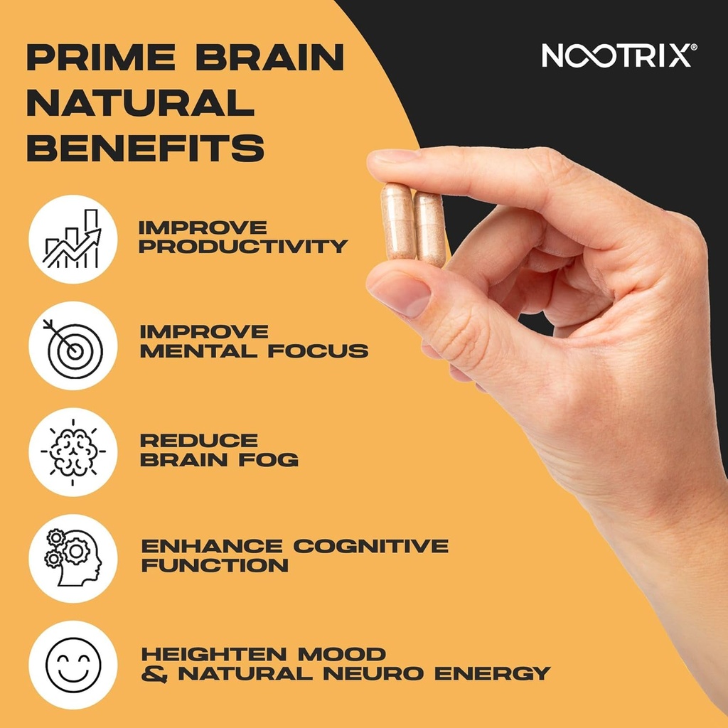 nootrix-prime-brain-nootropic-supplement-4.jpg