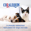 nutramax-cobalequin-b12-for-dogs-and-cat-2.jpg