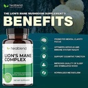 neuro-plus-brain-focus-formula-brain-boo-4.jpg