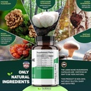 neuro-plus-brain-focus-formula-brain-boo-6.jpg