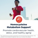 designs-for-health-homocysteine-supreme--2.jpg