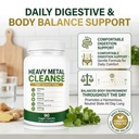 with-cilantro-leaf-powder-chlorella-alph-2.jpg