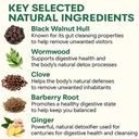 wellvia-gut-cleanse-purity-shield-gut-an-2.jpg