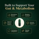 glp-1-support-supplement-for-nausea-bloa-3.jpg