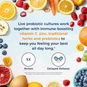 vitalitown-probiotics-70-billion-cfu-imm-3.jpg