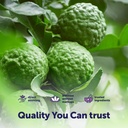 micro-ingredients-citrus-bergamot-extrac-5.jpg