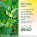 megafood-thyroid-strength-mineral-supple-6.jpg