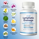 lymphatic-drainage-capsules-for-sedentar-4.jpg