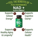 peak-performance-ultra-high-purity-nad-s-2.jpg