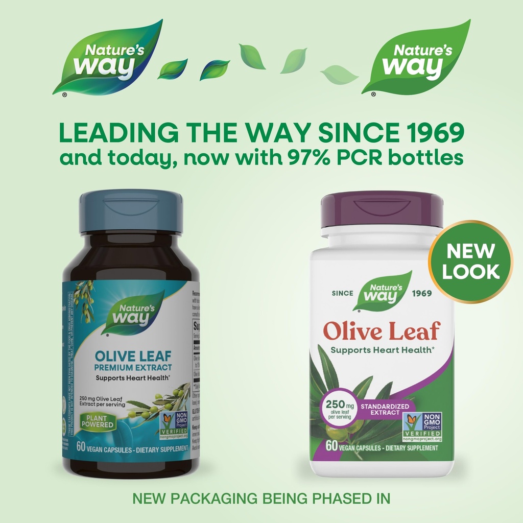 nature-s-way-olive-leaf-standardized-ext-2.jpg