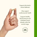 swanson-olive-leaf-extract-immune-and-ca-4.jpg
