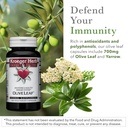 kroeger-herb-products-olive-leaf-extract-4.jpg
