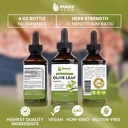 maxx-herb-olive-leaf-extract-max-strengt-5.jpg
