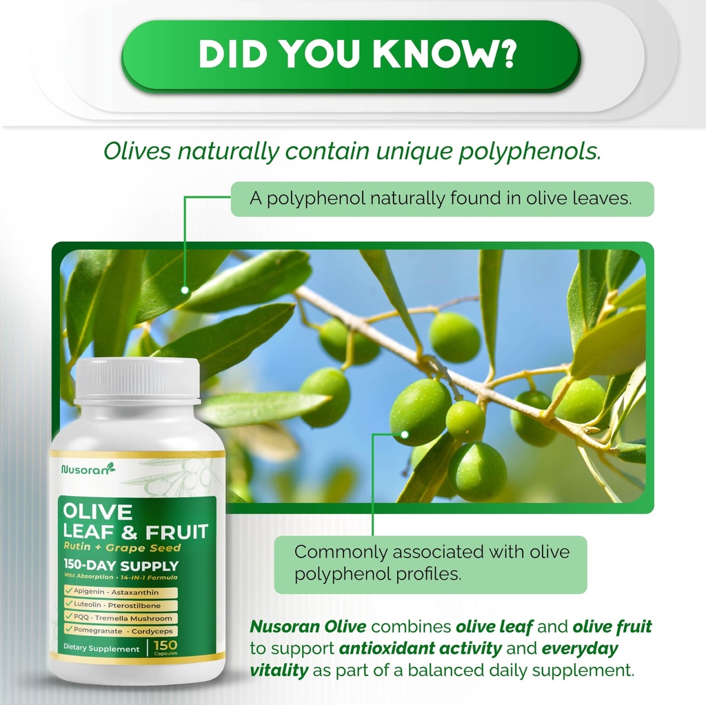 premium-olive-leaf-fruit-13-in-1-with-ru-2.jpg