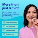 neuro-variety-pack-mints-energy-focus-mi-2.jpg