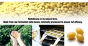 pharmakon-nattokinase-bioavailable-soft--3.jpg