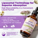 duwhot-liposomal-apigenin-with-valerian--5.jpg