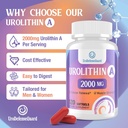 urolithin-a-supplement-2000mg-for-men-wo-5.jpg