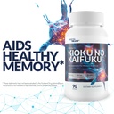 memory-kioku-no-kaifuku-our-best-brain-s-5.jpg