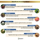 memory-hack-max-brain-support-supplement-2.jpg
