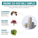 organic-iodine-supplement-1-500-mcg-iodi-3.jpg