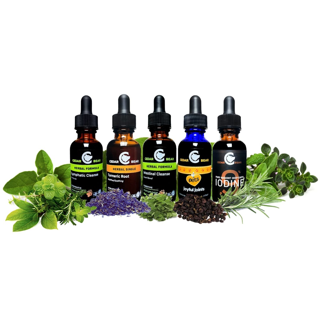 cedar-bear-gut-flora-friend-for-kids-a-l-6.jpg