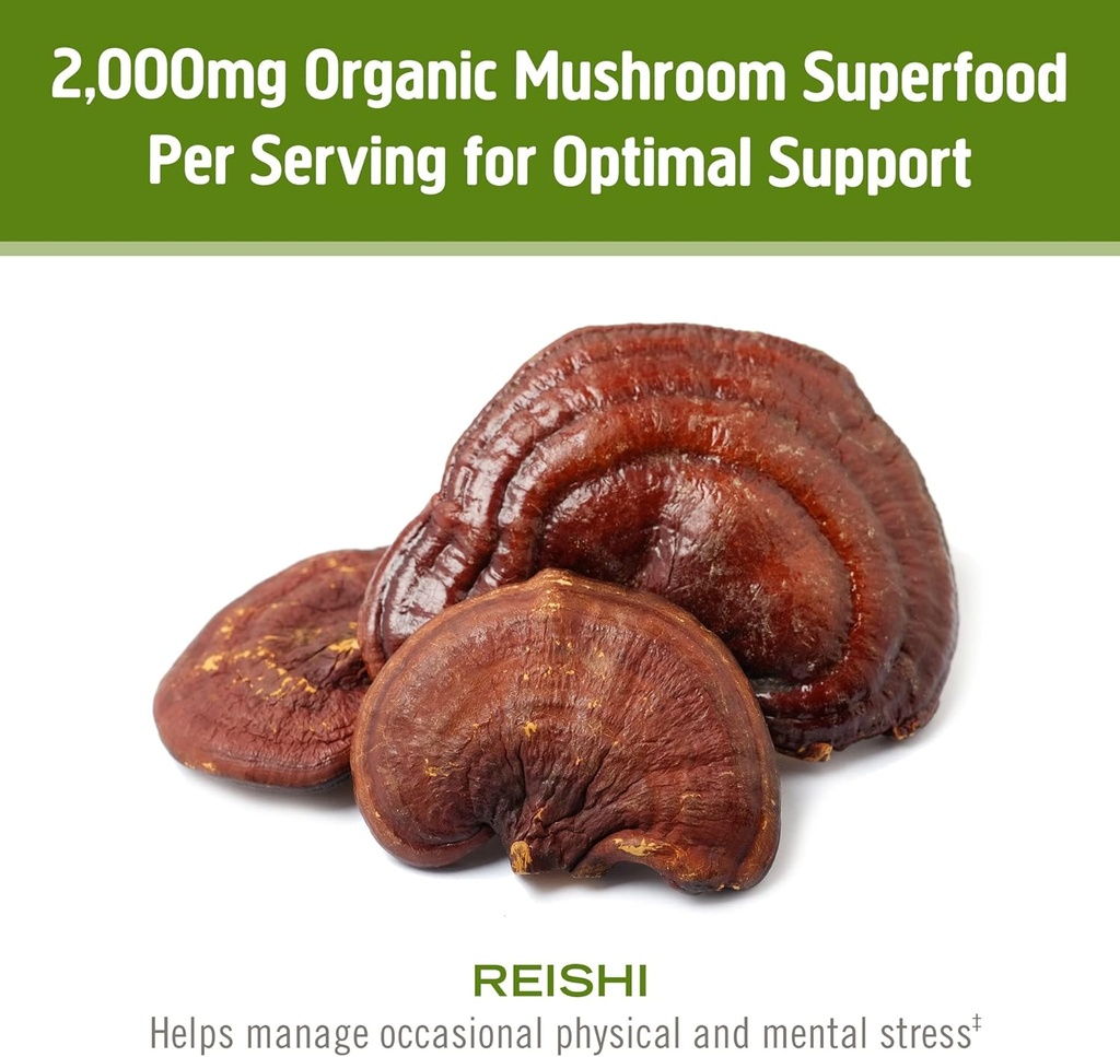 om-mushroom-superfood-reishi-organic-mus-4.jpg