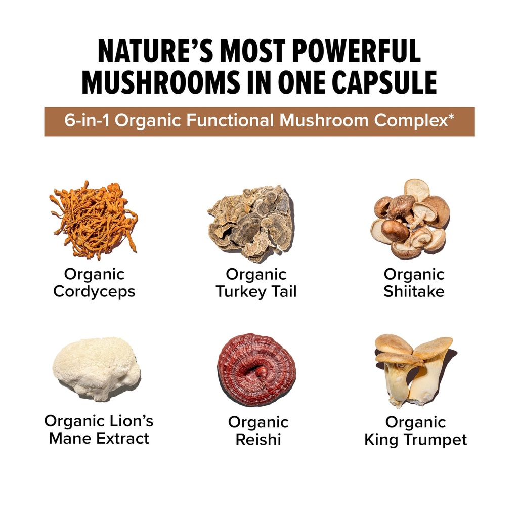 innosupps-inno-shroom-organic-mushroom-s-6.jpg