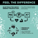 lmnt-zero-sugar-electrolytes-raw-unflavo-5.jpg