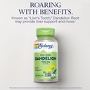 solaray-dandelion-root-supplement-health-3.jpg