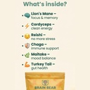 brain-bear-mushroom-gummies-lion-s-mane--3.jpg