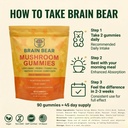 brain-bear-mushroom-gummies-lion-s-mane--6.jpg