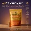 brain-bear-mushroom-gummies-lion-s-mane--2.jpg