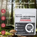 mushroom-gummies-with-lion-s-mane-alpha--3.jpg