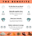 superfood-mushroom-gummies-delicious-dai-2.jpg