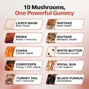 effective-nutra-mushroom-gummies-2500mg--3.jpg