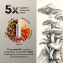 lions-mane-adaptogenic-mushrooms-nootrop-4.jpg