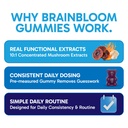 mushroom-gummies-for-focus-energy-lion-s-5.jpg