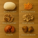 me-first-living-mushroom-complex-supplem-3.jpg