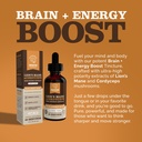 lion-s-mane-cordyceps-supplement-brain-e-2.jpg