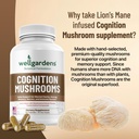100-pure-cognition-mushroom-supplement-l-2.jpg