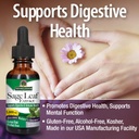 nature-s-answer-alcohol-free-sage-leaf-1-4.jpg
