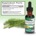 nature-s-answer-horsetail-extract-alcoho-3.jpg