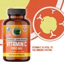vitamin-c-1000-mg---tapioca-source---120-6.jpg