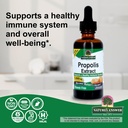 nature-s-answer-propolis-resin-extract-h-4.jpg