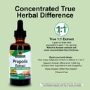 nature-s-answer-propolis-resin-extract-h-6.jpg