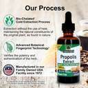 nature-s-answer-propolis-resin-extract-h-3.jpg