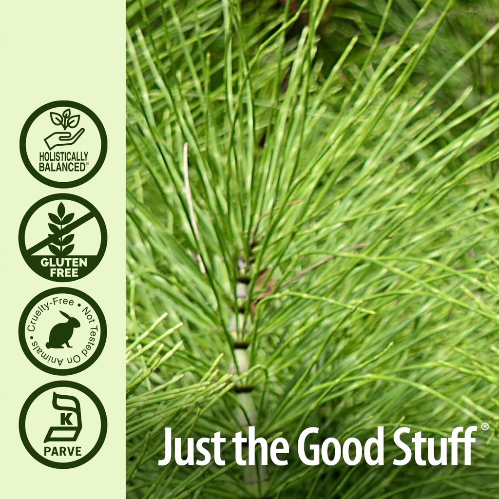 nature-s-answer-horsetail-herb-capsules--4.jpg
