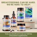 motherlove-more-milk-special-blend-2-oun-4.jpg